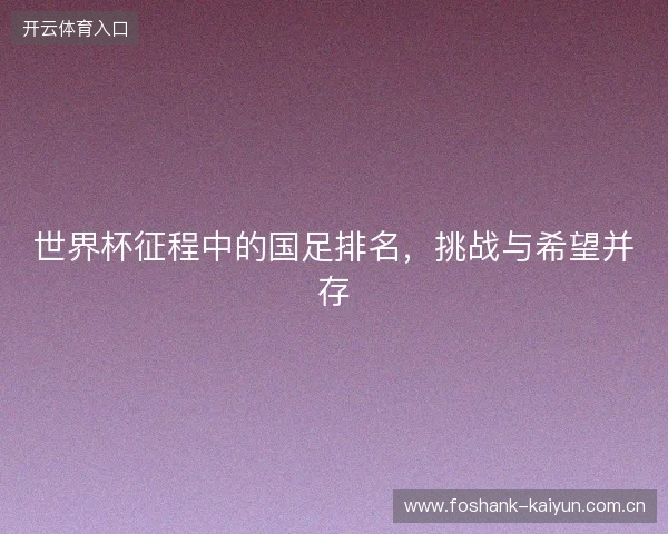 世界杯征程中的国足排名，挑战与希望并存